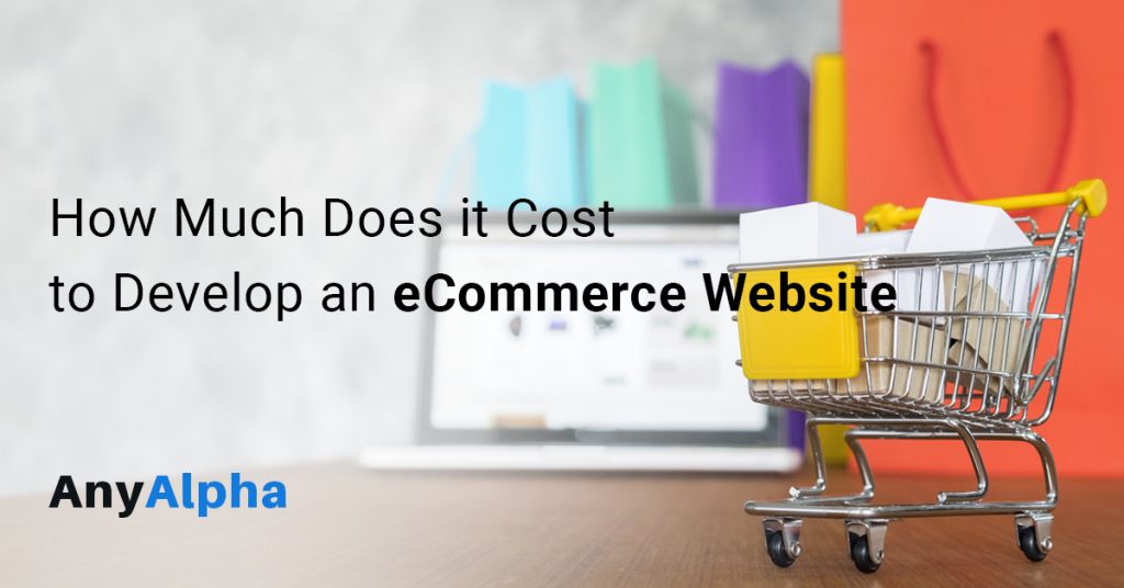 How Much Does it Cost to Develop an eCommerce Website - Anyalpha